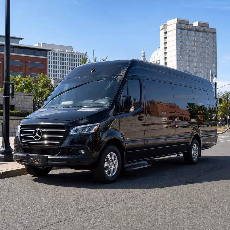 14 Passenger Sprinter Limo